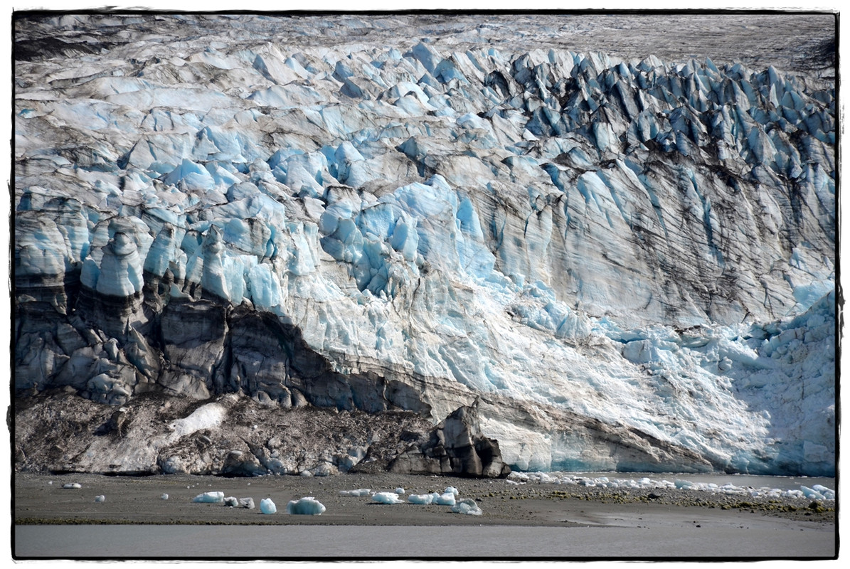 Alaska por tierra, mar y aire - Blogs de America Norte - 22 de junio. Navegando por Glacier Bay (18)