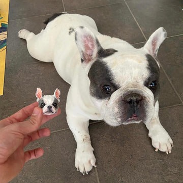 Customer pet figurine review photo