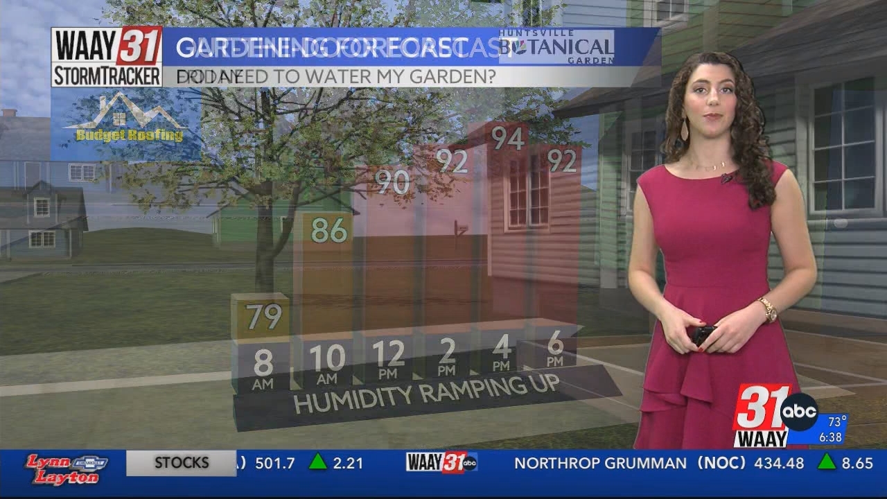 WAAY 31 Morning News at 6a_20240621_12001300.ts_snapshot_00.39.09.592
