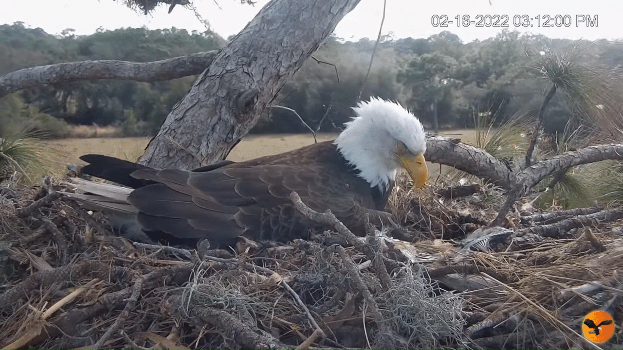 Webp.net-gifmaker (3)