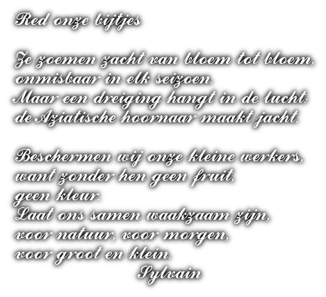 cooltext502572040977178