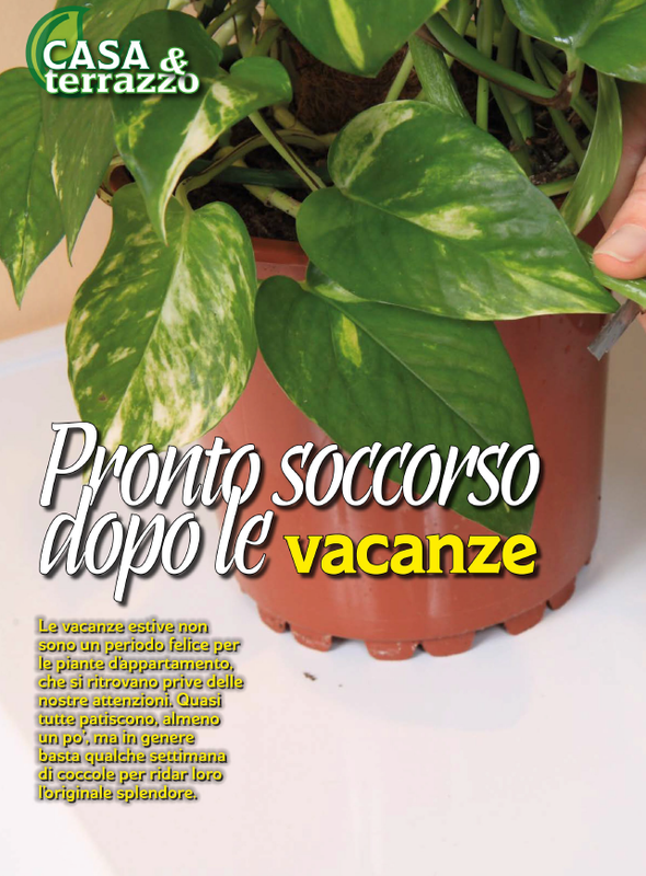 Pass Giar e Orto Set 2026 (7)