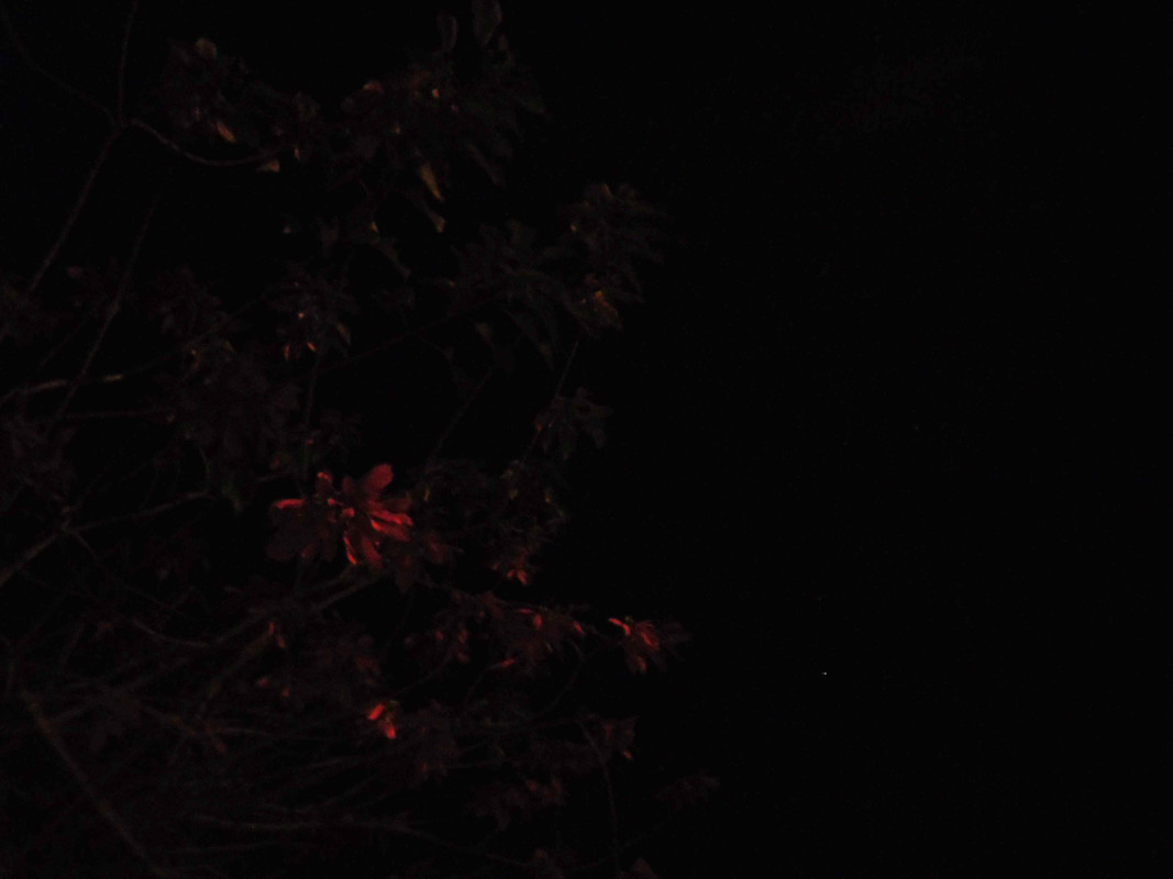 23.1.nightly reds I (edit)