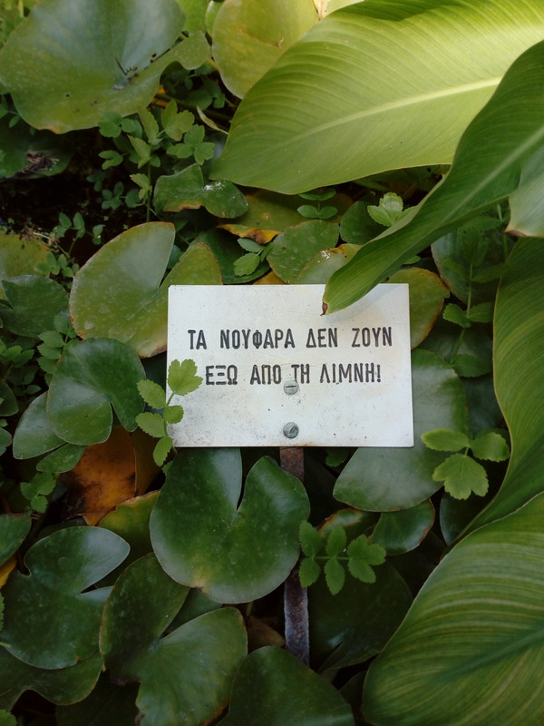 και το ξέρουν