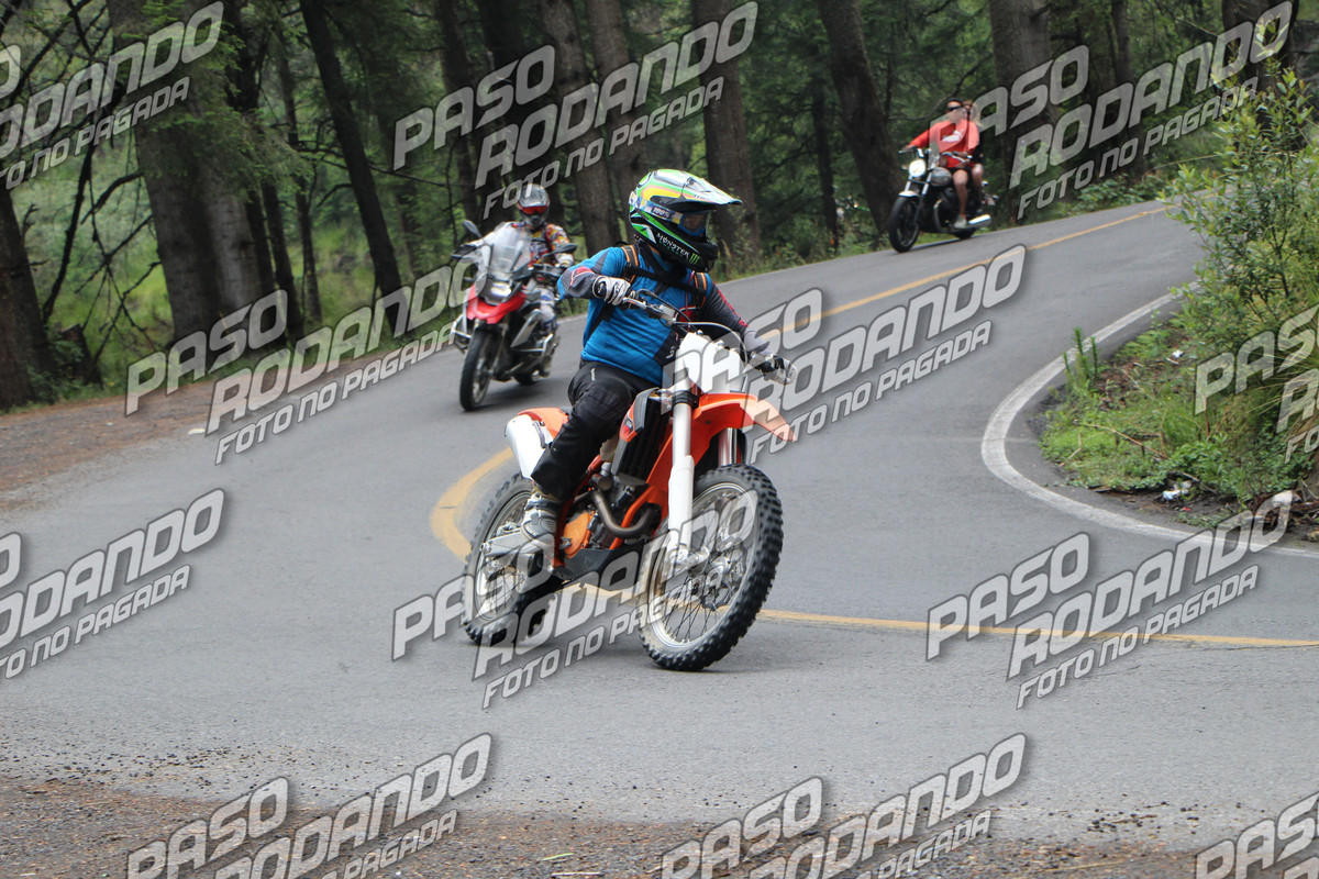 IMG 8117 wm 85630 70000000019 watermarked — Postimages