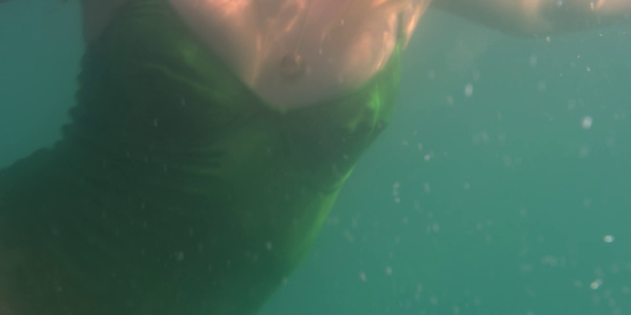 vlcsnap-2023-04-15-14h41m42s463