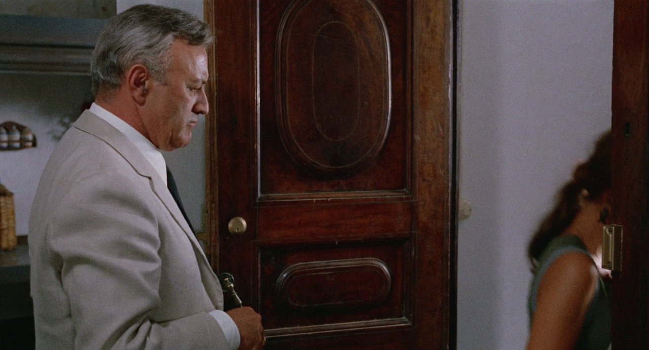 vlcsnap-2023-07-30-21h34m15s575