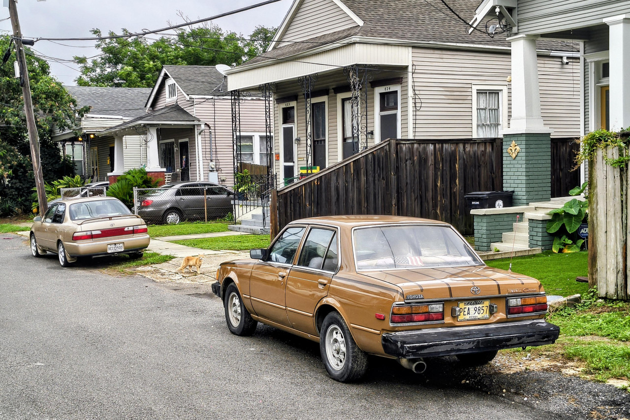IMG-20260618-082722544-HDR-2.jpg