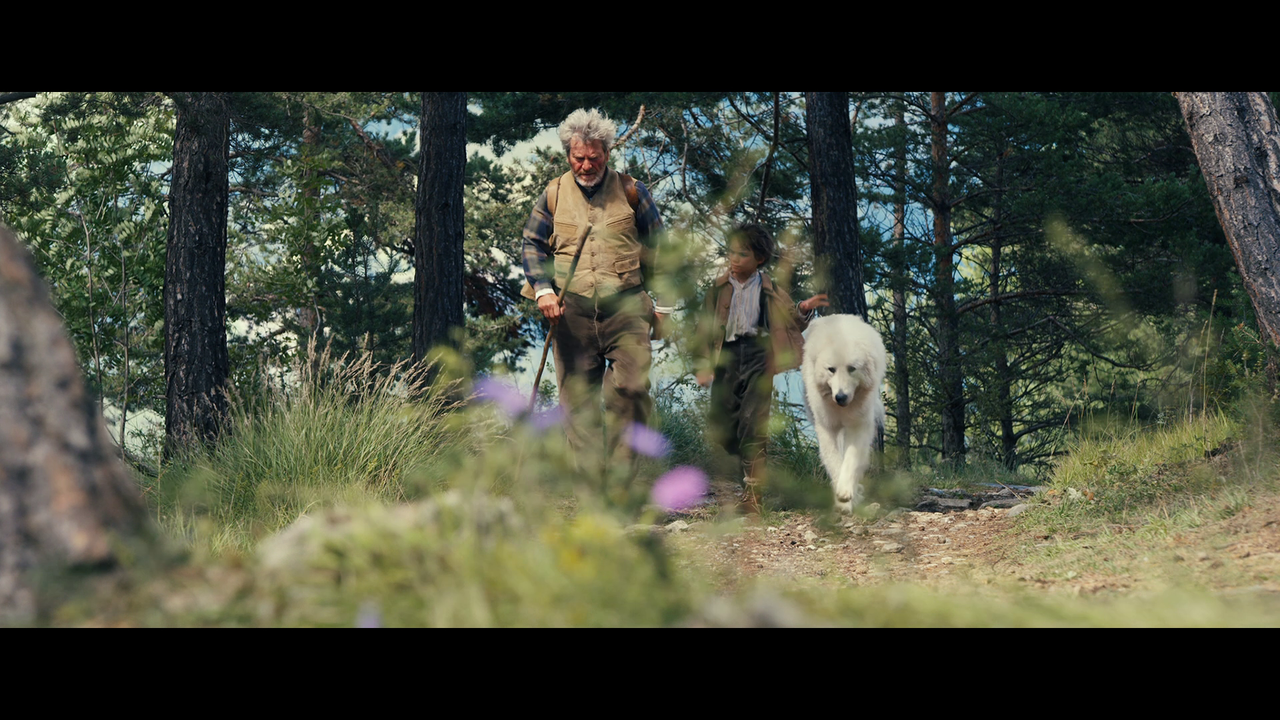 vlcsnap-2023-01-10-15h23m10s626