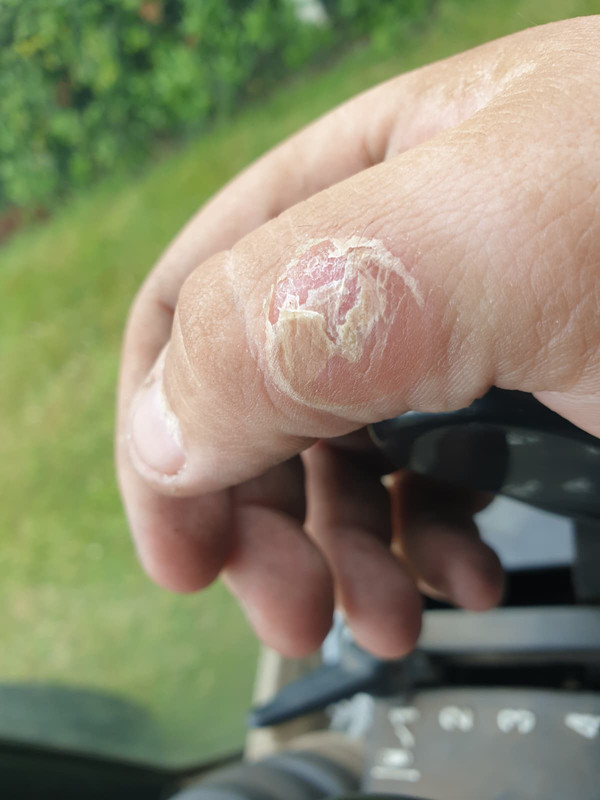 Whats App Image 2025 12 04 at 18 50 05 e8ed89df