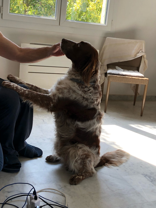 EB30283B-29CE-4C3E-A50C-339DB84D0469