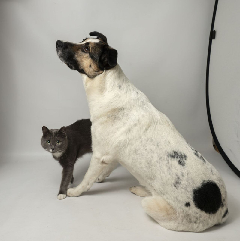 IMG_20240318_111847_067