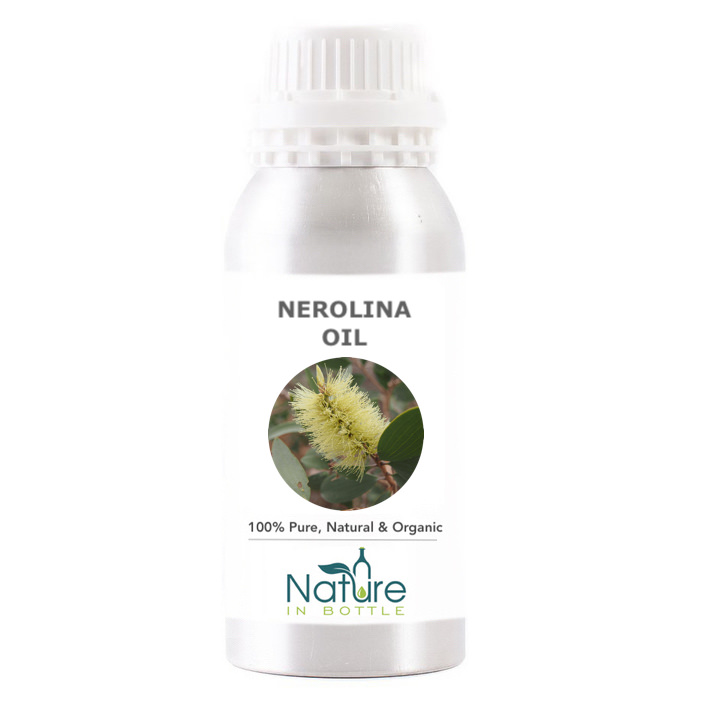 Nerolina Essential Oil Organic Melaleuca Quinquenervia