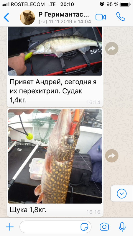 7 Геримантас Лилейка Каунасское отзыв джиг спиннинг рыбалка  бле