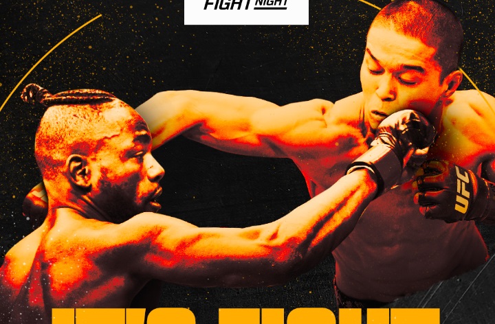 Резултати от UFC Fight Night: Капе - Алмабаев