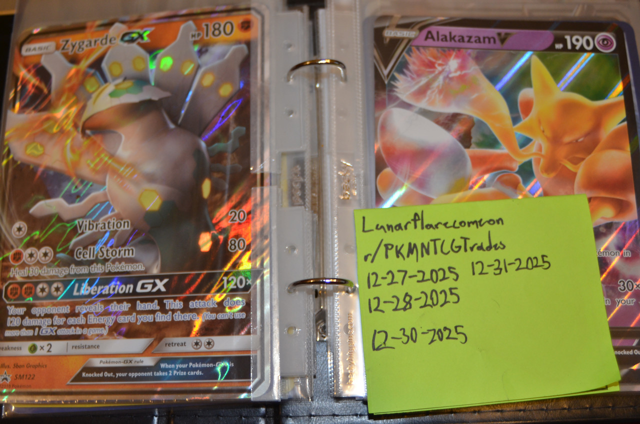 oversized binder (17)