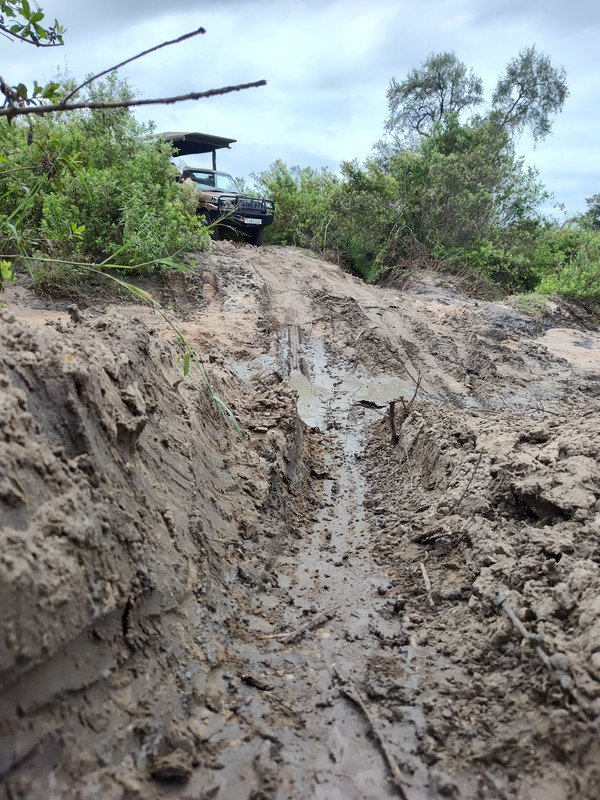 IMG_20250616_114848268_HDR