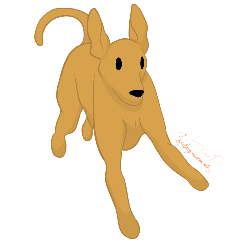Pharaoh Hound (finished)