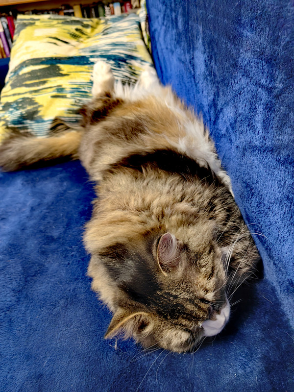 IMG_20250202_154007_edit_220451735071684