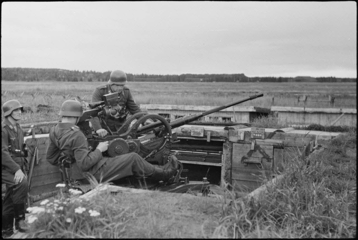 Lors d'une démonstration aéroportée du Luftlandegeschwader 1 (8.LLG 1) sur le terrain d'aviation de 