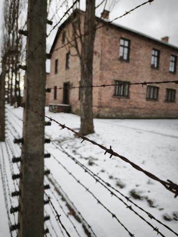 **Día 3 (30 diciembre): Auschwitz y Birkenau - Fin de año en Cracovia (4)