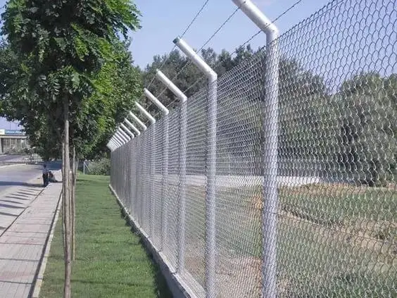 شبوك في الاحساء