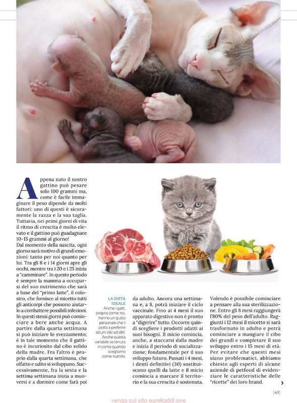 Ga Ma Ott-Nov 2021 (6)