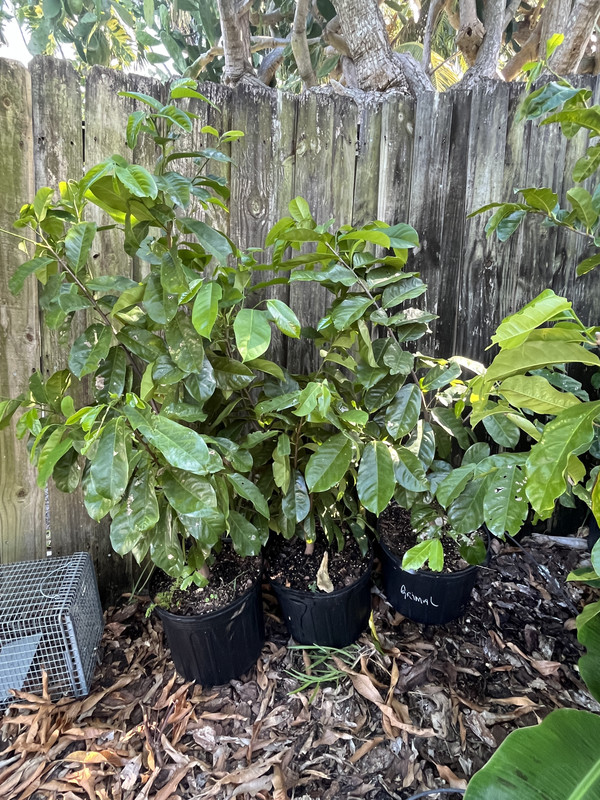 D401F1FF-3848-40AE-A2A2-5292391432CC