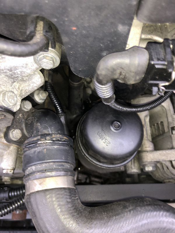 1BEA218C-F207-488C-BF51-0852BD11E85C