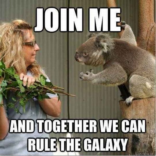 daily_picdump_1242_640_82