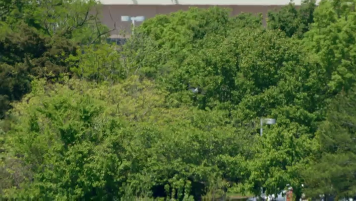 [Image: ur4m1b2e4uyn.png]