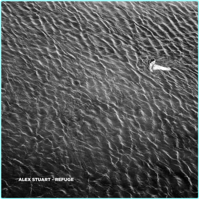 [Image: jo98vjem9i0s.png]