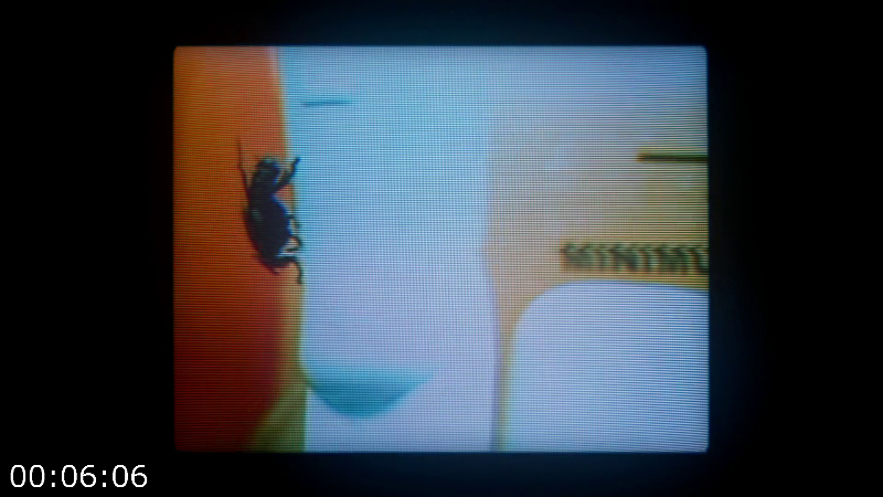 [Image: oxw72t7wlqu2.png]