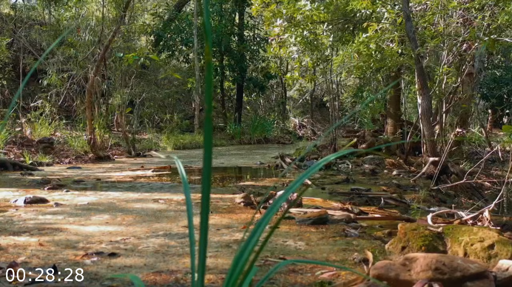 [Image: lul4l8szyb16.png]