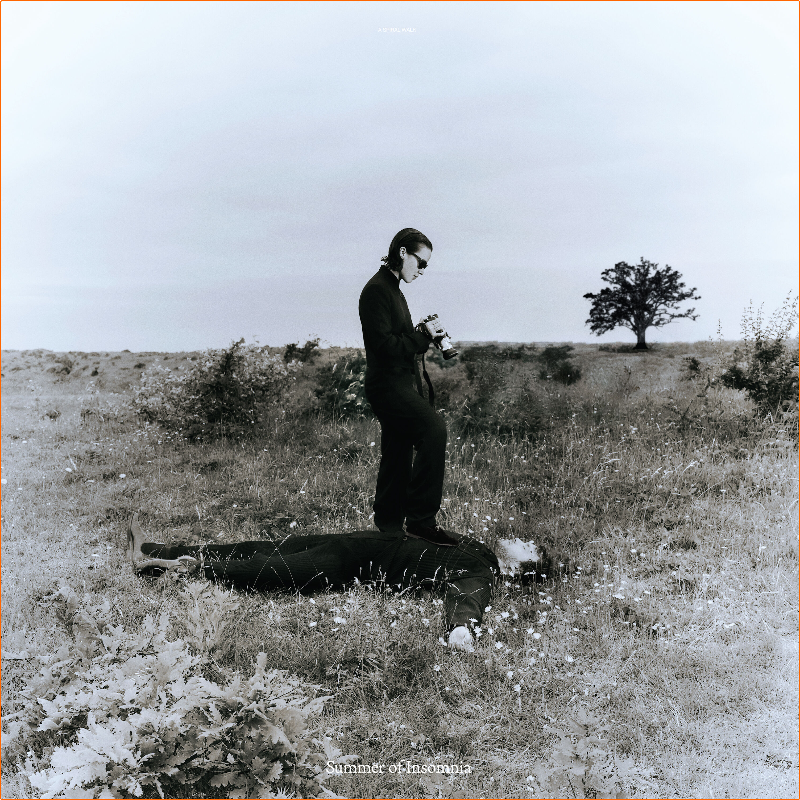 [Image: r4p6ld1m3qny.png]