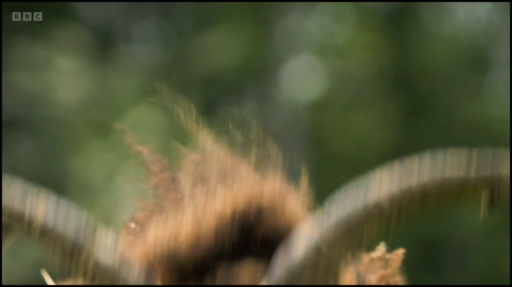 [Image: tl7dq15vwwh0.png]