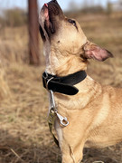 IMG_20230416_173223_016