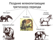 https://i.postimg.cc/8s0z1Dv1/img10.jpg