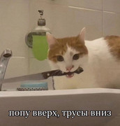 1f37783a37abbfae81de259067c56d02.jpg