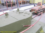 IMG-8102
