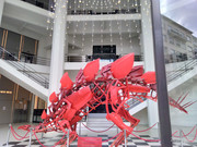 P-20210726-150639-v-HDR-On-p.jpg