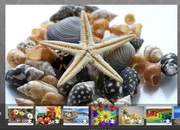 Screen Shot 2021-06-23 at 8.48.05 PM