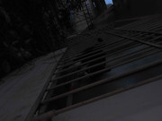 23.1.bando cats (crop)