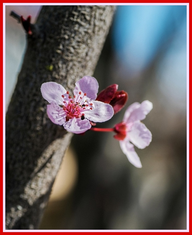 DEDF30DA-AD9D-4DC8-BCA3-876B8EF18909