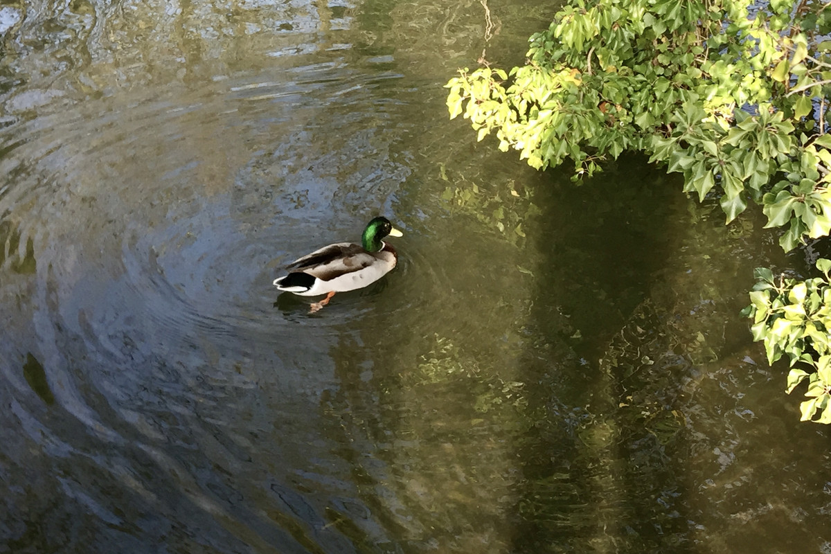 02004DBF-ED28-48D0-870A-E5B53467BEF3