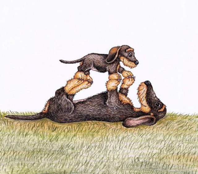 [Image: IMG-8326.jpg]