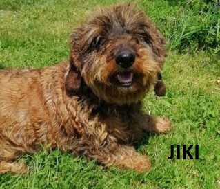 [Image: image00000011.jpg]