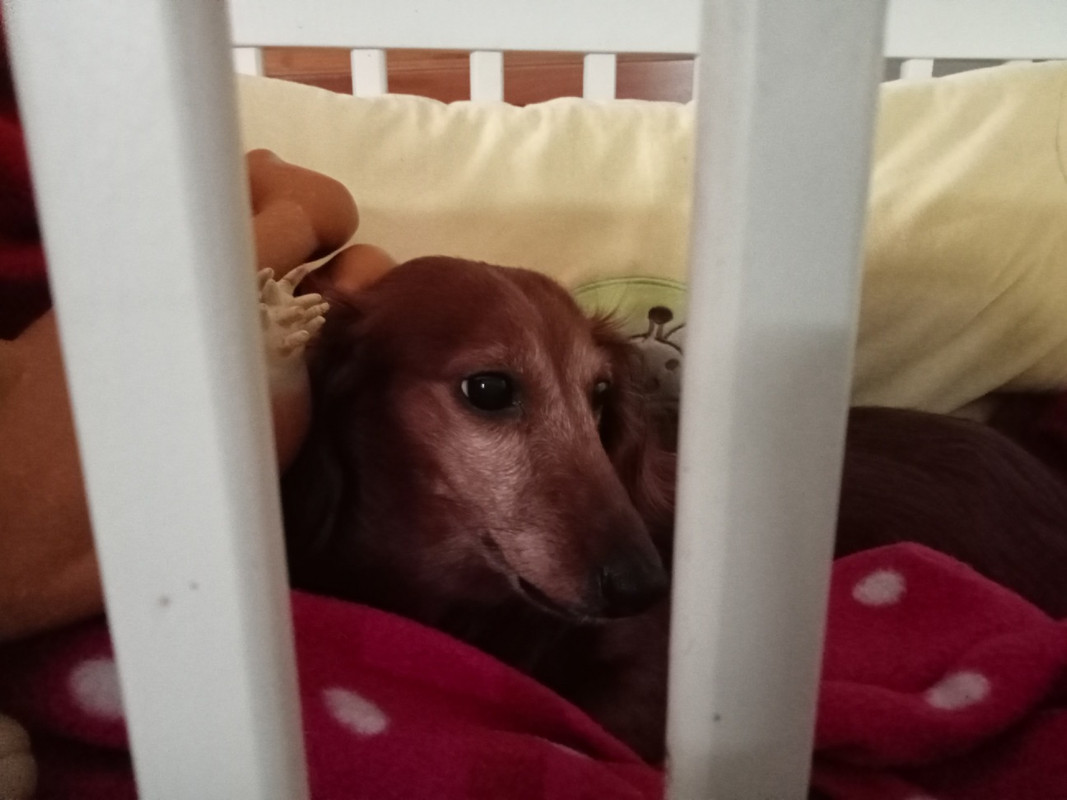 [Image: image000000-148.jpg]