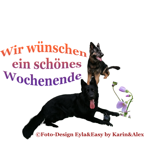 Hund dir wochenende schönes ich wünsch images.tinydeal.com: over