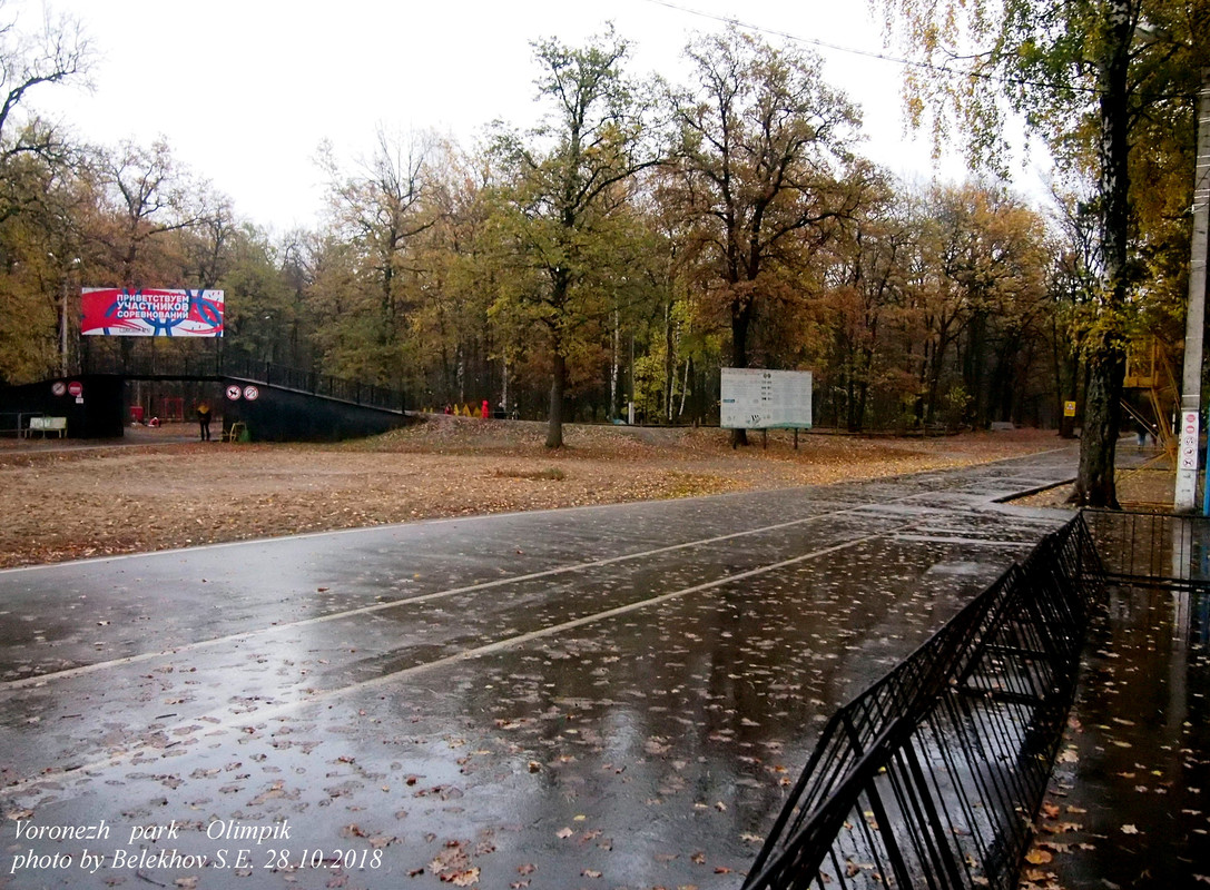 Воронеж, осень, парк